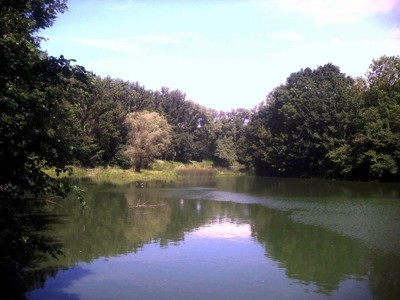 Toter Saalearm bei Plötzkau